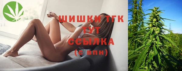ешки Гусь-Хрустальный