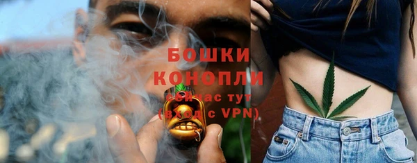 ешки Гусь-Хрустальный