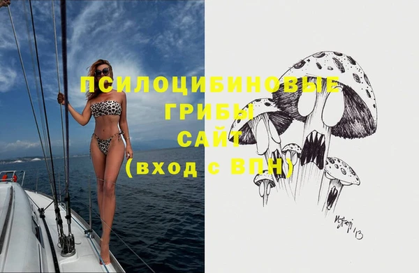 сатива Гусиноозёрск