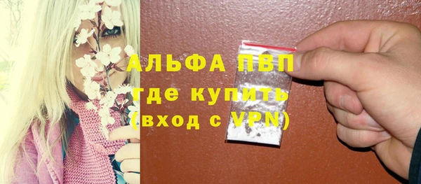 сатива Гусиноозёрск
