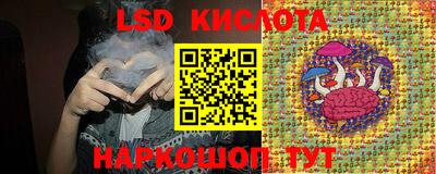 скорость Кингисепп