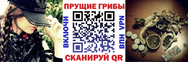 закладки  Можга  сайты даркнета наркотические препараты  Галлюциногенные грибы мухоморы 
