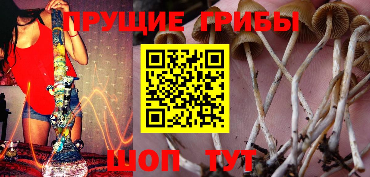 Псилоцибиновые грибы ЛСД Можга
