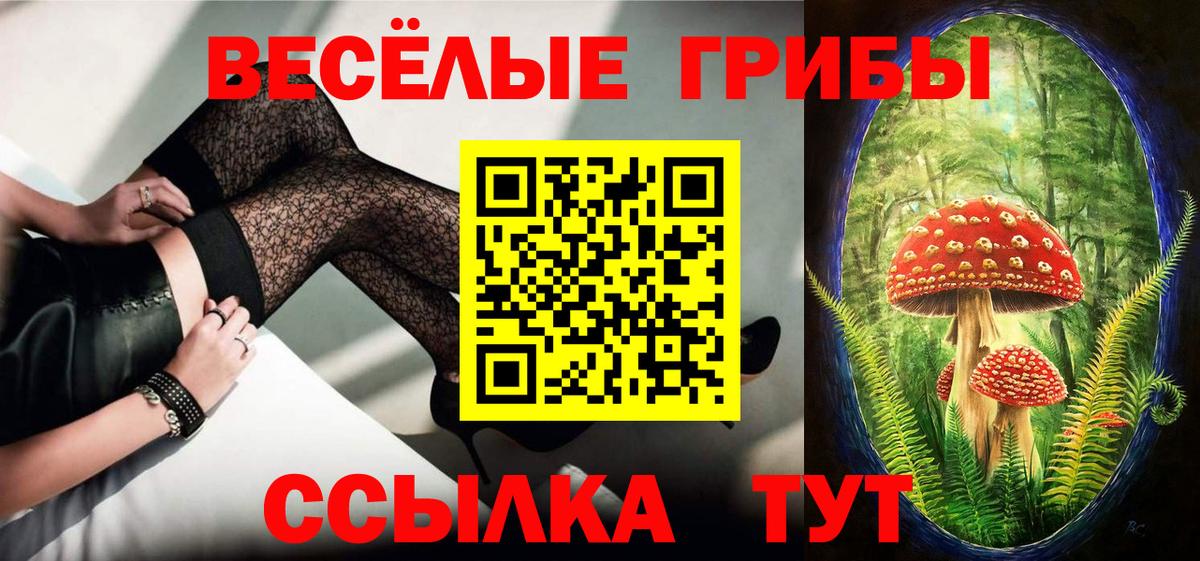 Галлюциногенные грибы Psilocybe Можга