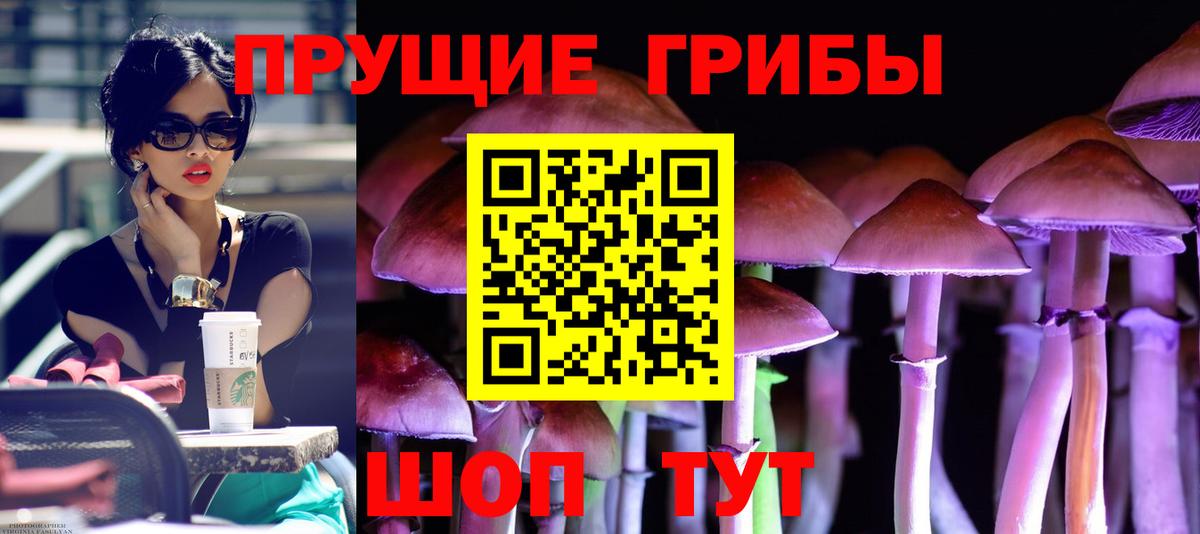 Псилоцибиновые грибы Psilocybine cubensis  Можга  Галлюциногенные грибы мухоморы 