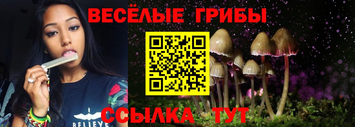 Галлюциногенные грибы Magic Shrooms  Вход с VPN  Можга 