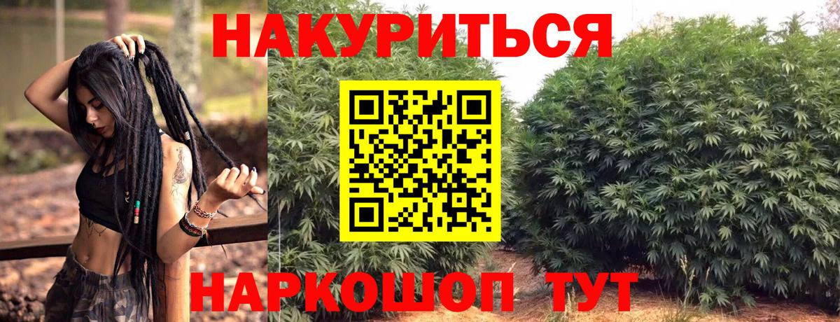 Марихуана план  Шишки марихуана MAZAR  Конопля семена  Можга  Бошки марихуана VHQ 